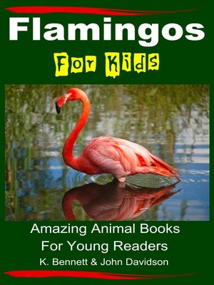 cover image of Flamingos For Kids